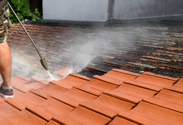 Best Roof Power Washing Services  in Irwin, PA